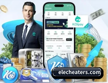 V体育 APP
